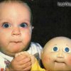 baby-zwillinge