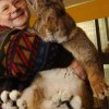 riesenhase