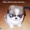 toedlicher-blick
